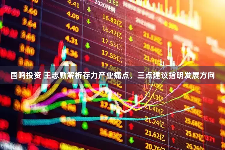 国鸣投资 王志勤解析存力产业痛点，三点建议指明发展方向