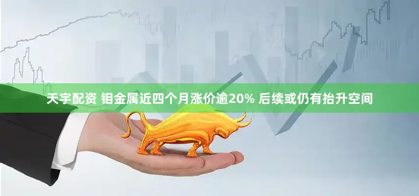 天宇配资 钼金属近四个月涨价逾20% 后续或仍有抬升空间