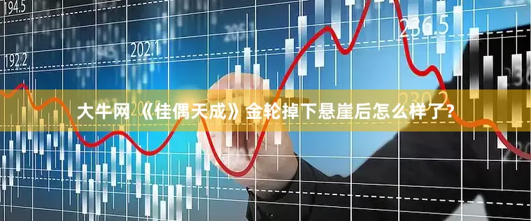 大牛网 《佳偶天成》金轮掉下悬崖后怎么样了？
